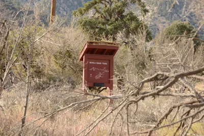 DSC_6228 (Large).JPG